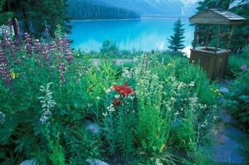 Emerald Lake, Yoho National Park, British Columbia | Obraz na stenu