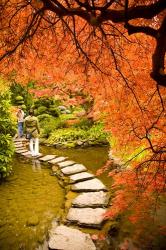 Japanese Garden, Butchart Gardens, Victoria, BC | Obraz na stenu