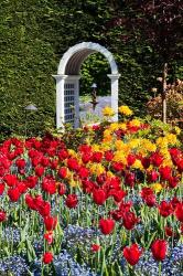 Hately Gardens, Victoria, British Columbia | Obraz na stenu