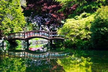 British Columbia, Vancouver, Hately Gardens bridge | Obraz na stenu