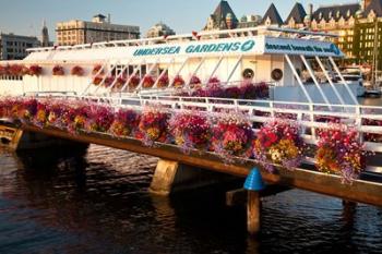 British Columbia, Victoria harbor, Undersea Gardens | Obraz na stenu