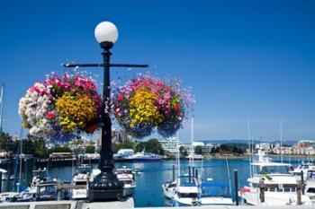 British Columbia, Victoria, Boat Harbor | Obraz na stenu