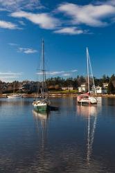 Comox Harbor, Vancouver Island, British Columbia, Canada | Obraz na stenu