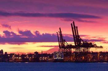 Cargo Cranes, Port of Vancouver | Obraz na stenu