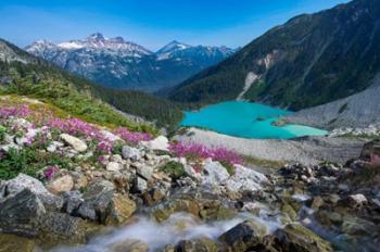 British Columbia, Meltwater Stream Flows Past Wildflowers Into Upper Joffre Lake | Obraz na stenu