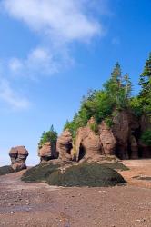 Bay of Fundy Hopewell Rocks | Obraz na stenu