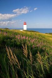 Lighthouse at St Martins | Obraz na stenu