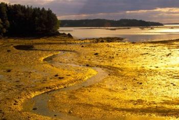 Tide at Sunset on Campobello Island | Obraz na stenu