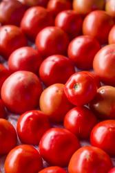 Farmers Market in Autumn | Obraz na stenu