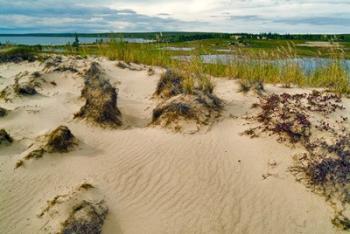 Sandy Beach | Obraz na stenu