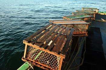 Nova Scotia, Cape Breton, Lobster Traps | Obraz na stenu