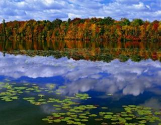 Park Haven Lake in Autumn | Obraz na stenu