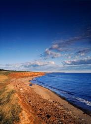 Prince Edward Island National Park | Obraz na stenu