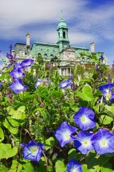 USA, Montreal View Of City Hall Building Behind Flowers | Obraz na stenu