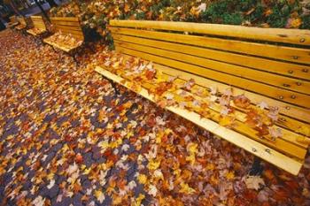 Quebec City Park Bench in Fall | Obraz na stenu