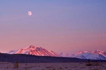 Alsek River Valley mountains | Obraz na stenu