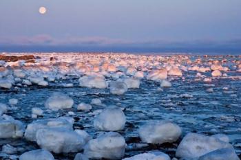 Sunset over Hudson Bay | Obraz na stenu