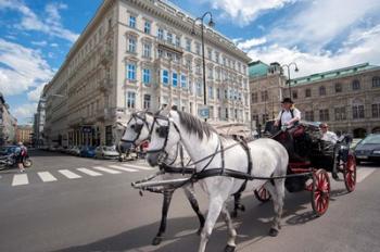 Horse Drawn Carriage in Vienna | Obraz na stenu