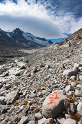 Glacier Viltragenkees, Mt Kleinvenediger | Obraz na stenu