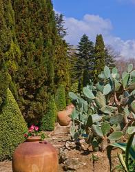 Botanical Garden in Balchik | Obraz na stenu