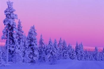 Winter Sunset in Finland | Obraz na stenu