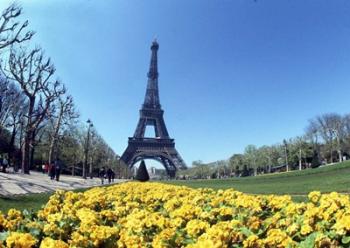 Eiffel Tower, Paris, France | Obraz na stenu