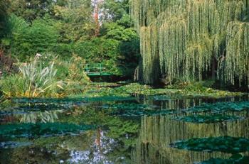Claude Monet's Garden Pond in Giverny, France | Obraz na stenu