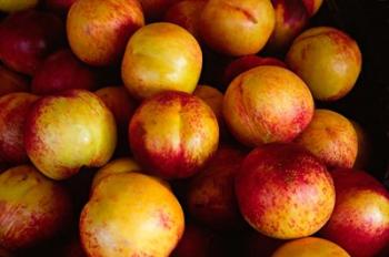 Plums at an Outdoor Market, Nice, France | Obraz na stenu