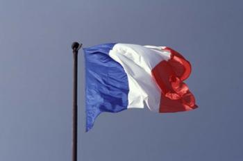 French Flag | Obraz na stenu