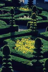 Garden at Villandry Chateau in France | Obraz na stenu