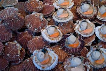 Trouville Fish Market, Calvados, France | Obraz na stenu