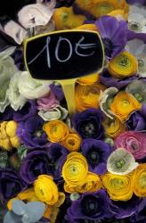 Flower Bunches, Aix En Provence, France | Obraz na stenu