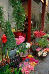 Florist in Ile St Louis, Paris, France | Obraz na stenu