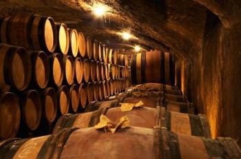 Wooden Barrels with Aging Wine in Cellar | Obraz na stenu