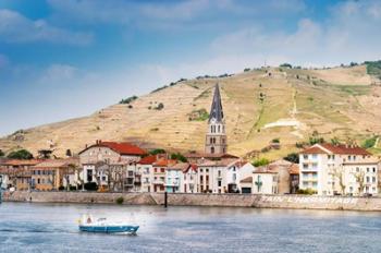 The Hermitage Vineyards | Obraz na stenu