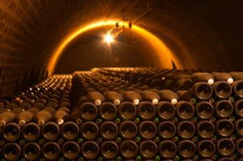 Champagne Bottles in Vaulted Cellar | Obraz na stenu