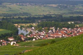 View of Vallee de la Marne River and Vineyards | Obraz na stenu