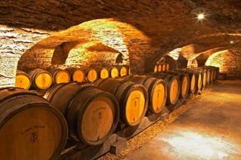 Oak Barrels in Cellar at Domaine Comte Senard | Obraz na stenu