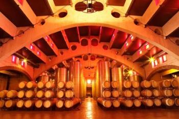 Wine Cellar at Raimat, Costers del Segre, Catalonia, Catalunya, Spain | Obraz na stenu