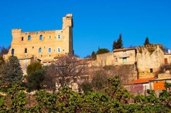 Ruins of the Pope's Summer Castle in Chateauneuf-du-Pape | Obraz na stenu