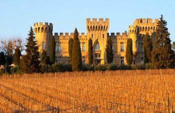 Vineyard with Syrah Vines and Chateau des Fines Roches | Obraz na stenu