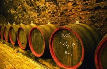 Kiralyudvar Winery Barrels with Tokaj Wine, Hungary | Obraz na stenu