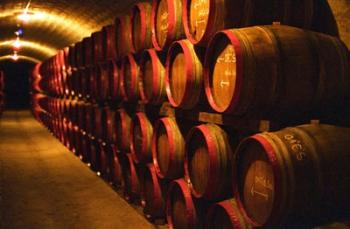 Barrels of Tokaj Wine in Disznoko Cellars, Hungary | Obraz na stenu