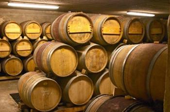 Wine cellar, Alain Voge, France | Obraz na stenu