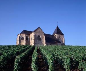 Chavot Church and Vineyards, France | Obraz na stenu