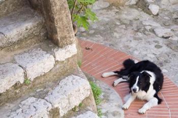 Eze-Village, Cote d'Azur, France | Obraz na stenu