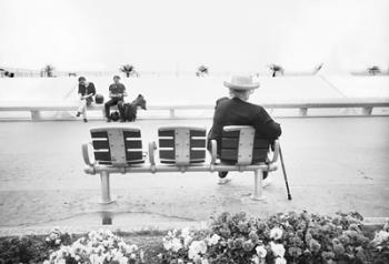 Seaside, By La Croisette, France | Obraz na stenu