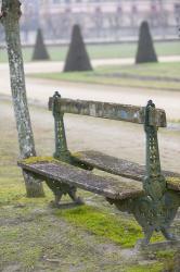 Park Bench in the Gardens, Chateau de Fontainebleau | Obraz na stenu