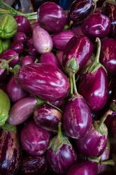 Purple Eggplant, Seafront Market | Obraz na stenu