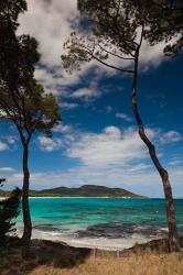 Plage de Palombaggia Beach, Porto Vecchio | Obraz na stenu